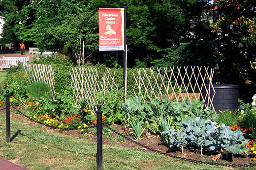 A banner for the educational garden on a post above a lush garden with green vegetables and flowers